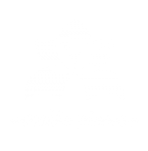 Vesika
